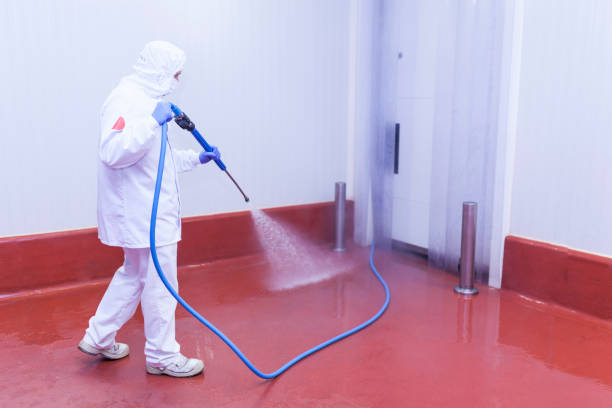 Best Solar Panel Cleaning  in Coachella, CA